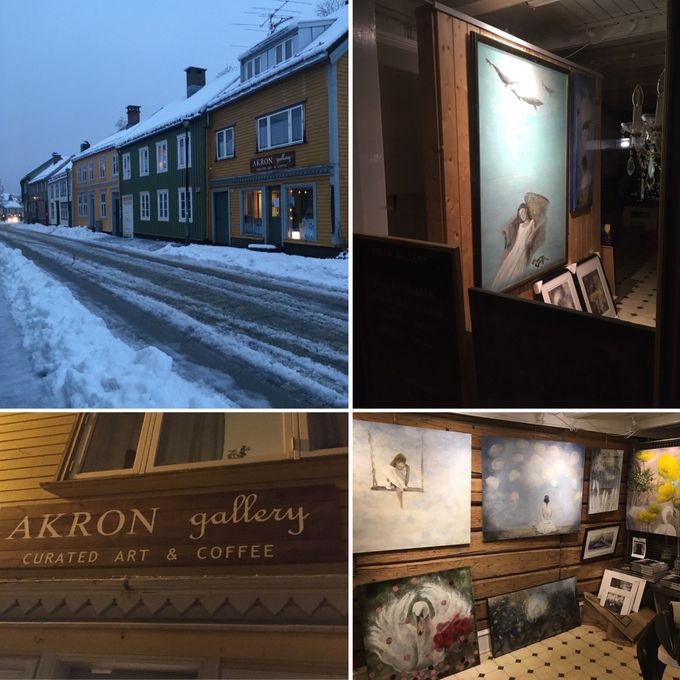 Guest artist at Akron Gallery, in Trondheim February - March 2020
